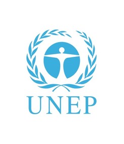 UNEP Marrakesh Task Force